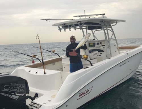 “Mayahzk Reh” Boston Whaler for sale