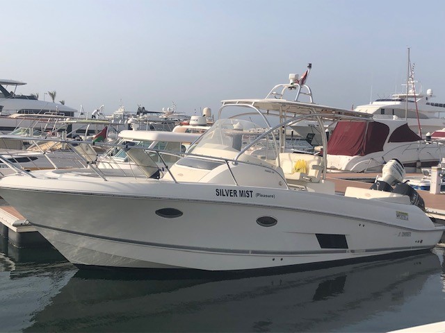 Silvermist – Beautiful Pioneer 320 (Al Dhaen) for sale